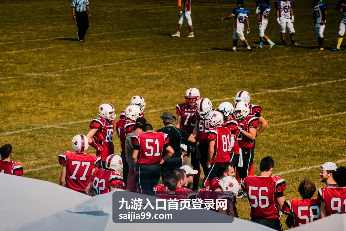 九游入口首页登录网入口分类与登录指引总览